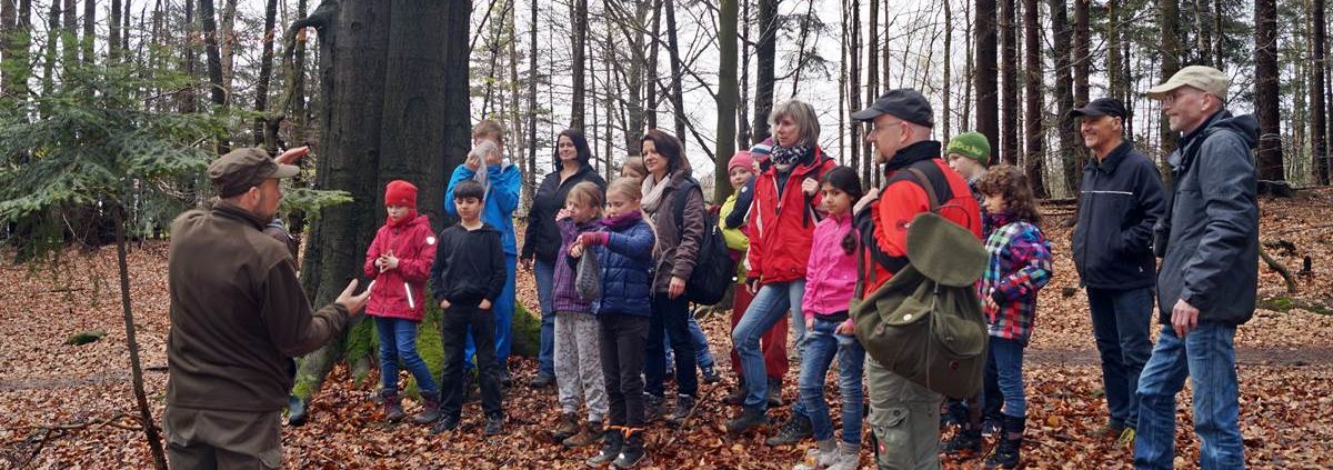 Bäume pflanzen im Nationalpark